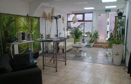Spațiu comercial de vânzare Circumvalatiunii - 198491SVC | BLITZ Timișoara | Poza1