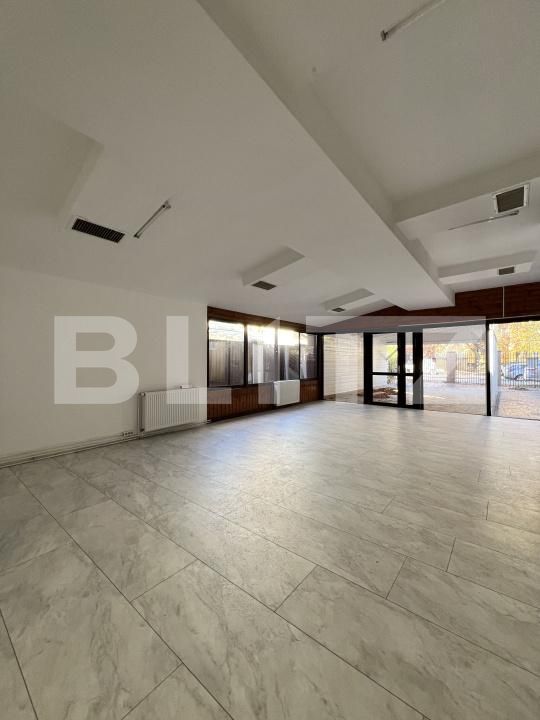 Spațiu comercial de închiriat Dambovita - 197986SIC | BLITZ Timișoara | Poza6