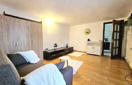 Apartament de închiriat 2 camere Blascovici, Timișoara