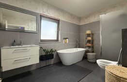 Casa 5 camere 255mp utili teren 798mp Dinias