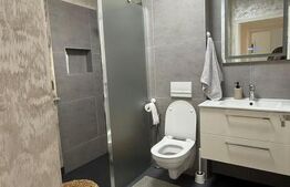 Casa 5 camere 255mp utili teren 798mp Dinias
