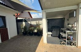 Casa 5 camere 255mp utili teren 798mp Dinias