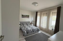 Casa 5 camere 255mp utili teren 798mp Dinias