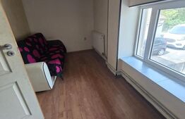 Hala cu spati administrative Timisoara