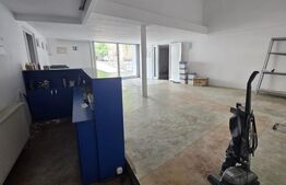 Hala cu spati administrative Timisoara