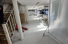 Hala cu spati administrative Timisoara