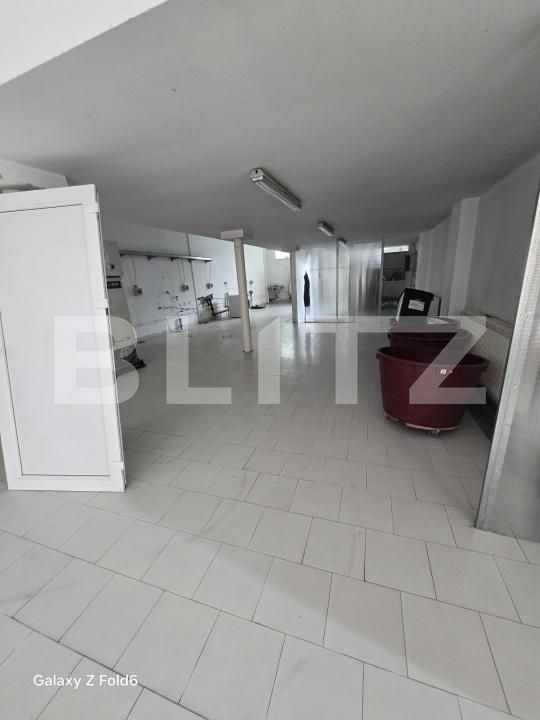 Spațiu comercial de vânzare Odobescu - 198158SVC | BLITZ Timișoara | Poza2