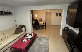 Proprietate cu potențial investițional ridicat – 3 case in aceasi curte Lipovei!