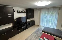 Proprietate cu potențial investițional ridicat – 3 case in aceasi curte Lipovei!