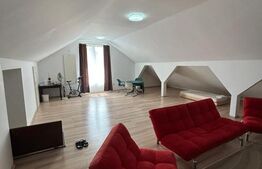 Proprietate cu potențial investițional ridicat – 3 case in aceasi curte Lipovei!