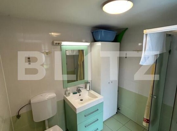 Casa de vânzare 8 camere Lipovei - 198194CV | BLITZ Timișoara | Poza6