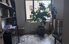 Apartament cu terasă cât o grădină – locul perfect pentru un nou început! 🌿