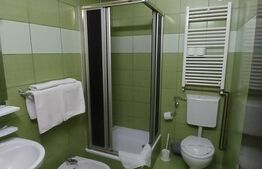 Pensiune 14 camere cu bai proprii si intrari separate, 500 mp, zona Mehala