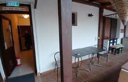 Pensiune 14 camere cu bai proprii si intrari separate, 500 mp, zona Mehala