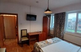 Pensiune 14 camere cu bai proprii si intrari separate, 500 mp, zona Mehala