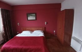Pensiune 14 camere cu bai proprii si intrari separate, 500 mp, zona Mehala