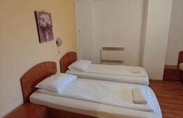 Pensiune 14 camere cu bai proprii si intrari separate, 500 mp, zona Mehala