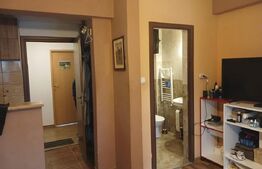Pensiune 14 camere cu bai proprii si intrari separate, 500 mp, zona Mehala