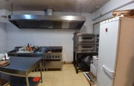 Pensiune 14 camere cu bai proprii si intrari separate, 500 mp, zona Mehala