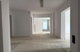 Spatiu comercial, 333 mp, zona Complexul Studentesc