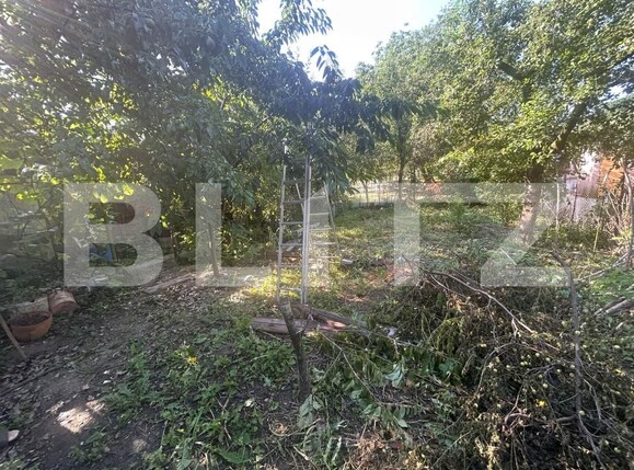 Casa de vânzare 5 camere Ghirodei - 198467CV | BLITZ Timișoara | Poza6