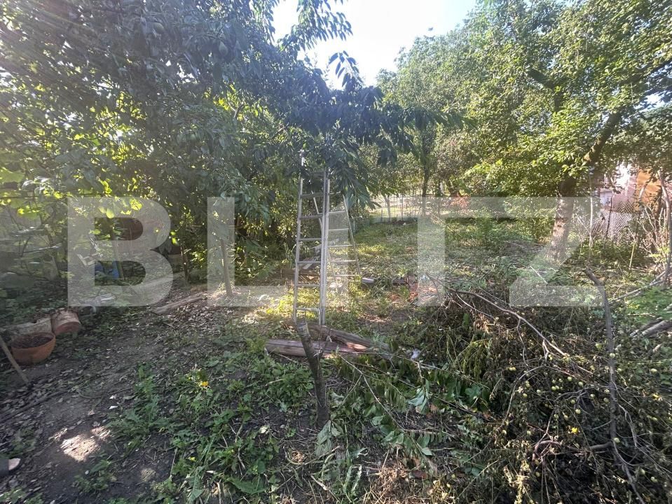 Casa de vânzare 5 camere Ghirodei - 198467CV | BLITZ Timișoara | Poza6