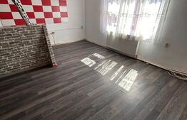 Casa de vânzare 5 camere Sag - 193593CV | BLITZ Timișoara | Poza1