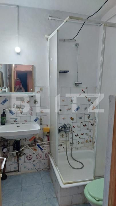 Apartament de vânzare 4 camere Lipovei - 199176AV | BLITZ Timișoara | Poza7