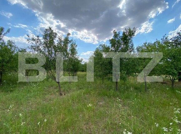 Casa de vânzare 4 camere Nord - 199184CV | BLITZ Timișoara | Poza16