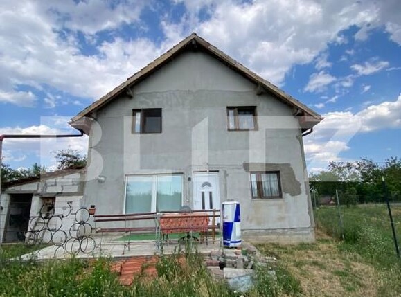 Casa de vânzare 4 camere Nord - 199184CV | BLITZ Timișoara | Poza3