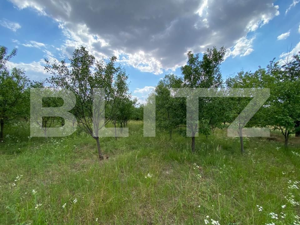 Casa de vânzare 4 camere Seceani - 199184CV | BLITZ Timișoara | Poza16