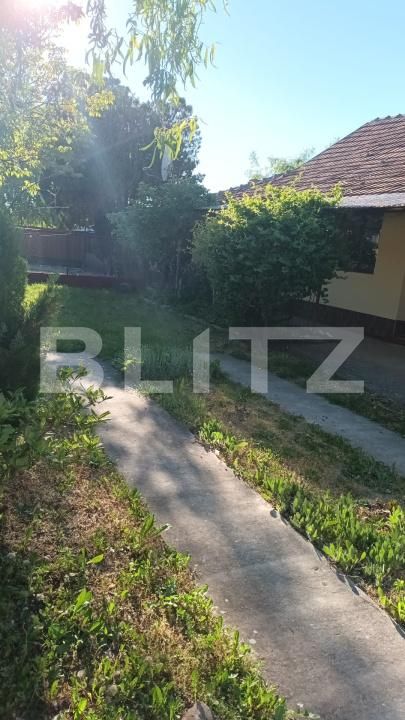 Casa de vânzare 5 camere Tormac - 199599CV | BLITZ Timișoara | Poza2