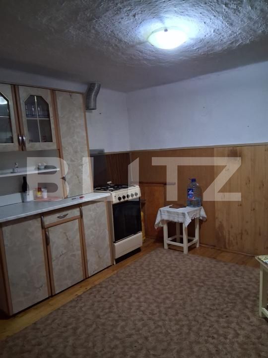 Casa de vânzare 5 camere Tormac - 199599CV | BLITZ Timișoara | Poza6