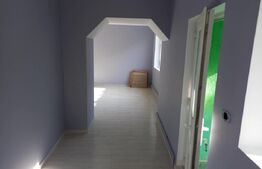 Casă renovată, 2 imobile, teren 1500 mp și panouri fotovoltaice, sat Berecuța