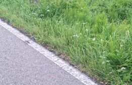 Teren la sosea, 5200 mp, localitatea Jena