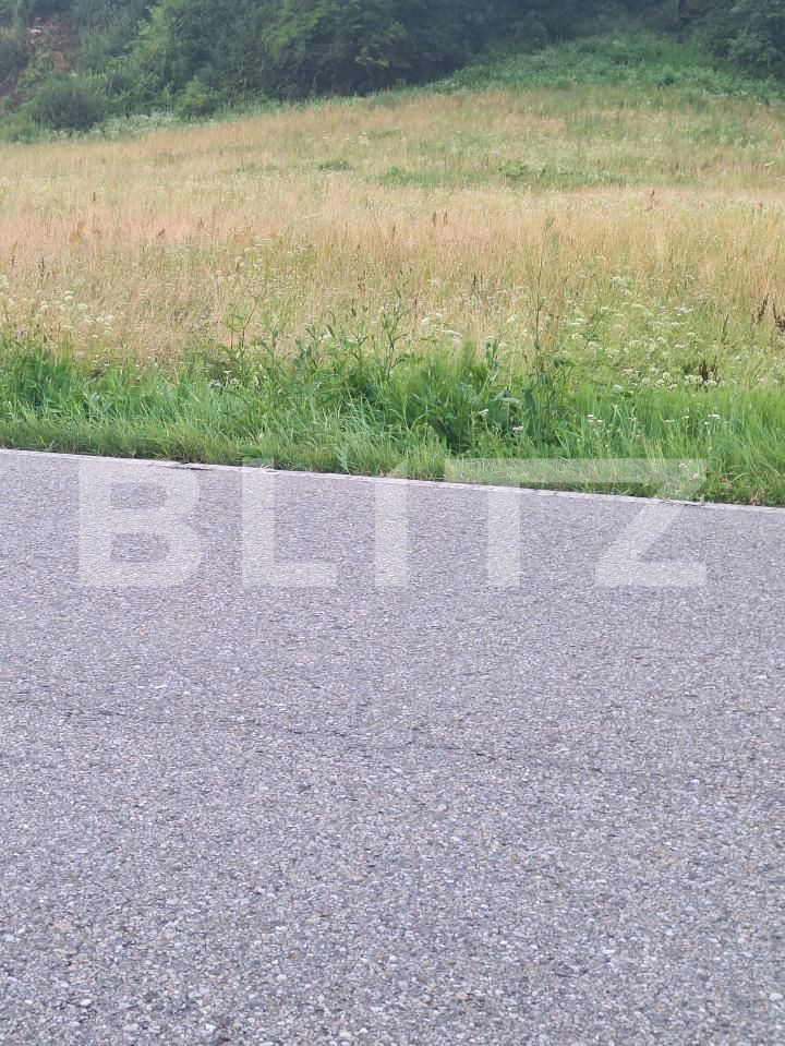 Teren de vânzare Gavojdia - 199604TV | BLITZ Timișoara | Poza5