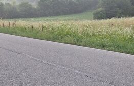 Teren de vanzare, 5800 mp, zona Jena