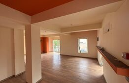 Spațiu diferite domenii de activitate, 270 mp, parcare, zona Bogdăneștilor