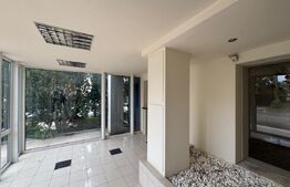 Spațiu diferite domenii de activitate, 270 mp, parcare, zona Bogdăneștilor
