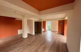 Spațiu diferite domenii de activitate, 270 mp, parcare, zona Bogdăneștilor