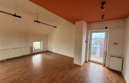 Spațiu diferite domenii de activitate, 270 mp, parcare, zona Bogdăneștilor