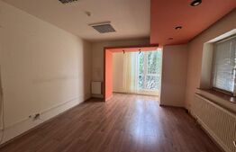 Spațiu diferite domenii de activitate, 270 mp, parcare, zona Bogdăneștilor
