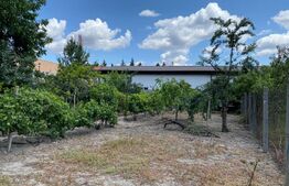 Casa individuala 7 camere, 220 mp utili, teren 1.126 mp, zona Iosefin