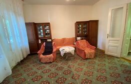 Casa individuala 7 camere, 220 mp utili, teren 1.126 mp, zona Iosefin