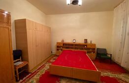 Casa individuala 7 camere, 220 mp utili, teren 1.126 mp, zona Iosefin