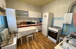 Casa individuala 7 camere, 220 mp utili, teren 1.126 mp, zona Iosefin