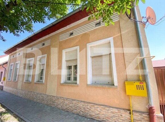 Casa de vânzare 7 camere Iosefin - 199944CV | BLITZ Timișoara | Poza2