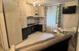 Apartament cu 2 camere de închiriat, 52 mp, zona Complex - Stadion