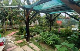 Casa 6 camere + anexa, 155 mp, zona Cetatii