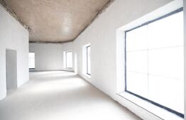 Spațiu comercial de închiriat, 100 mp, Calea Bogdăneștilor 